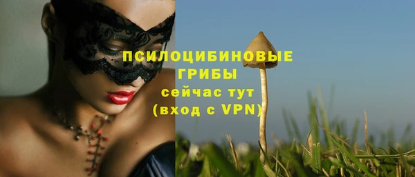 амфетамин Осинники