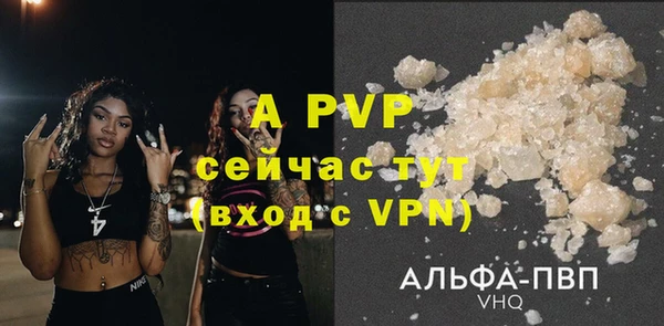 ПСИЛОЦИБИНОВЫЕ ГРИБЫ Осташков