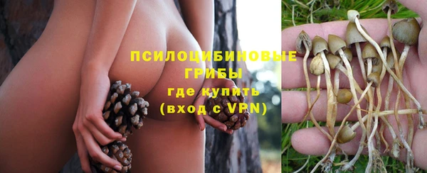 амфетамин Осинники