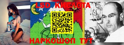 ECSTASY Краснодар