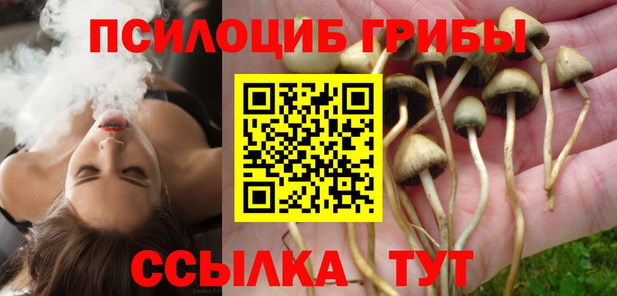 Новый Уренгой  Псилоцибиновые грибы Cubensis  Вход с VPN 
