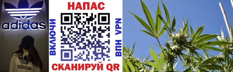 ссылка на мегу зеркало где купить наркоту Новый Уренгой Бошки марихуана SATIVA & INDICA