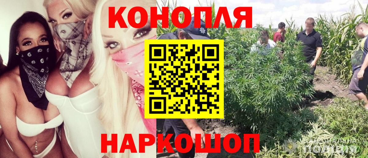 Конопля Новый Уренгой